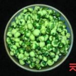 Wasabi Peas Snack